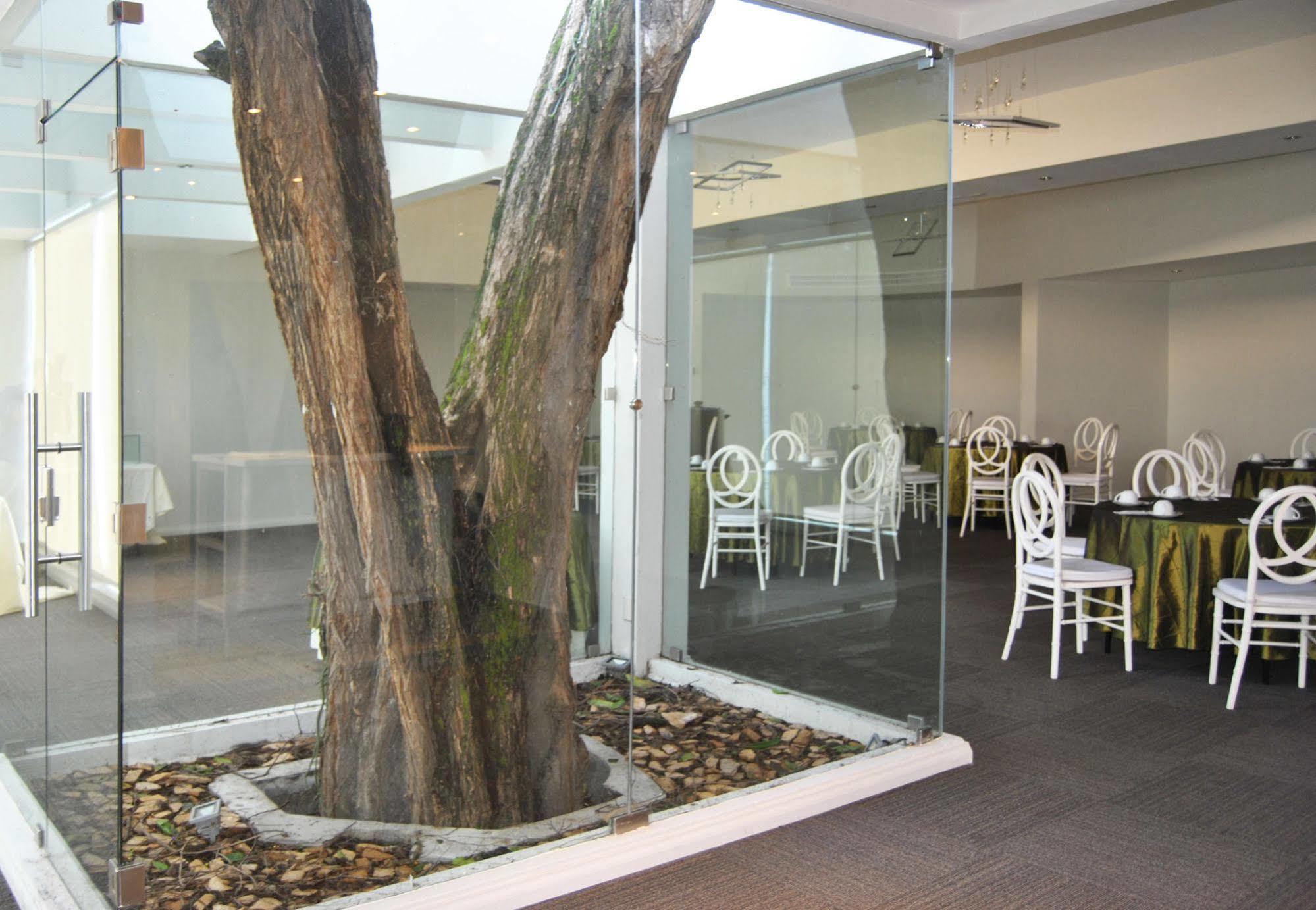 Hotel Los Andes San Pedro Sula Exteriér fotografie